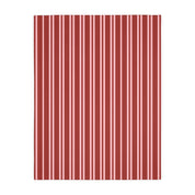 Cabana Stripe - Blanket