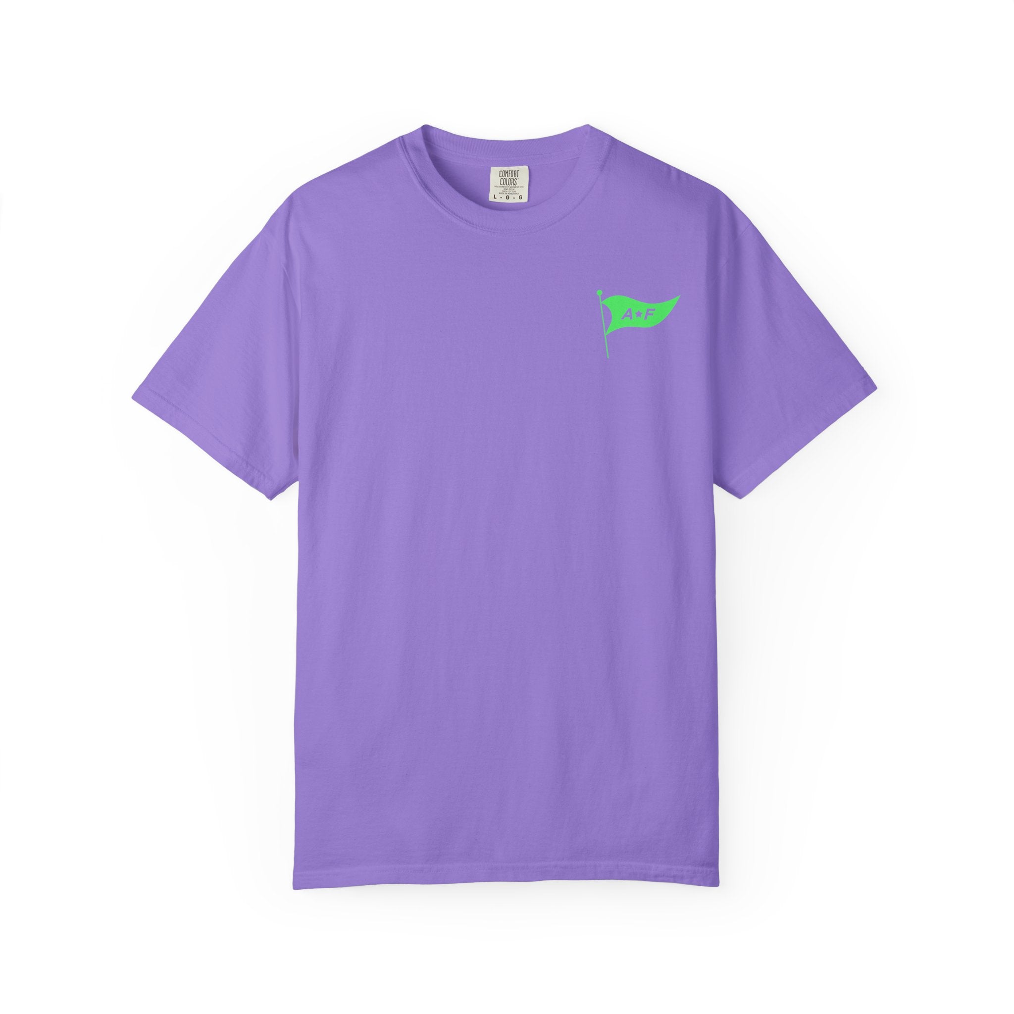 Park rides and good Vibes -  Tee
