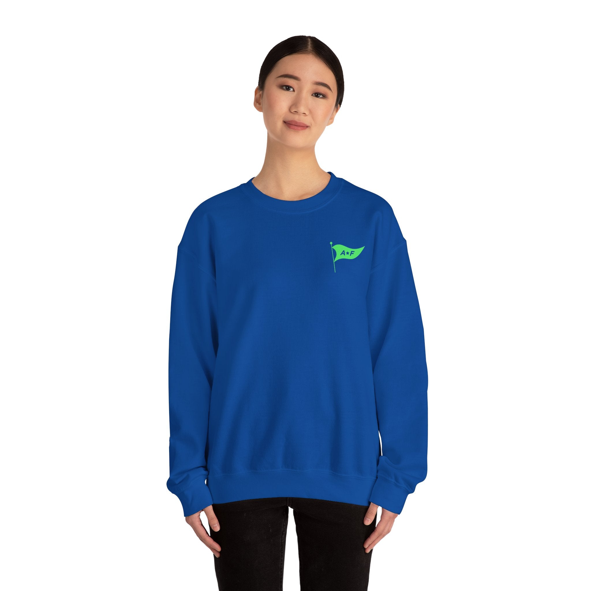 Park rides & good Vibes - Crewneck