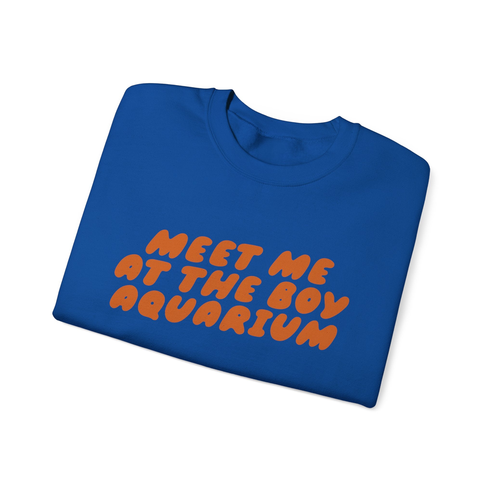 Meet me at the boy aquarium crewneck