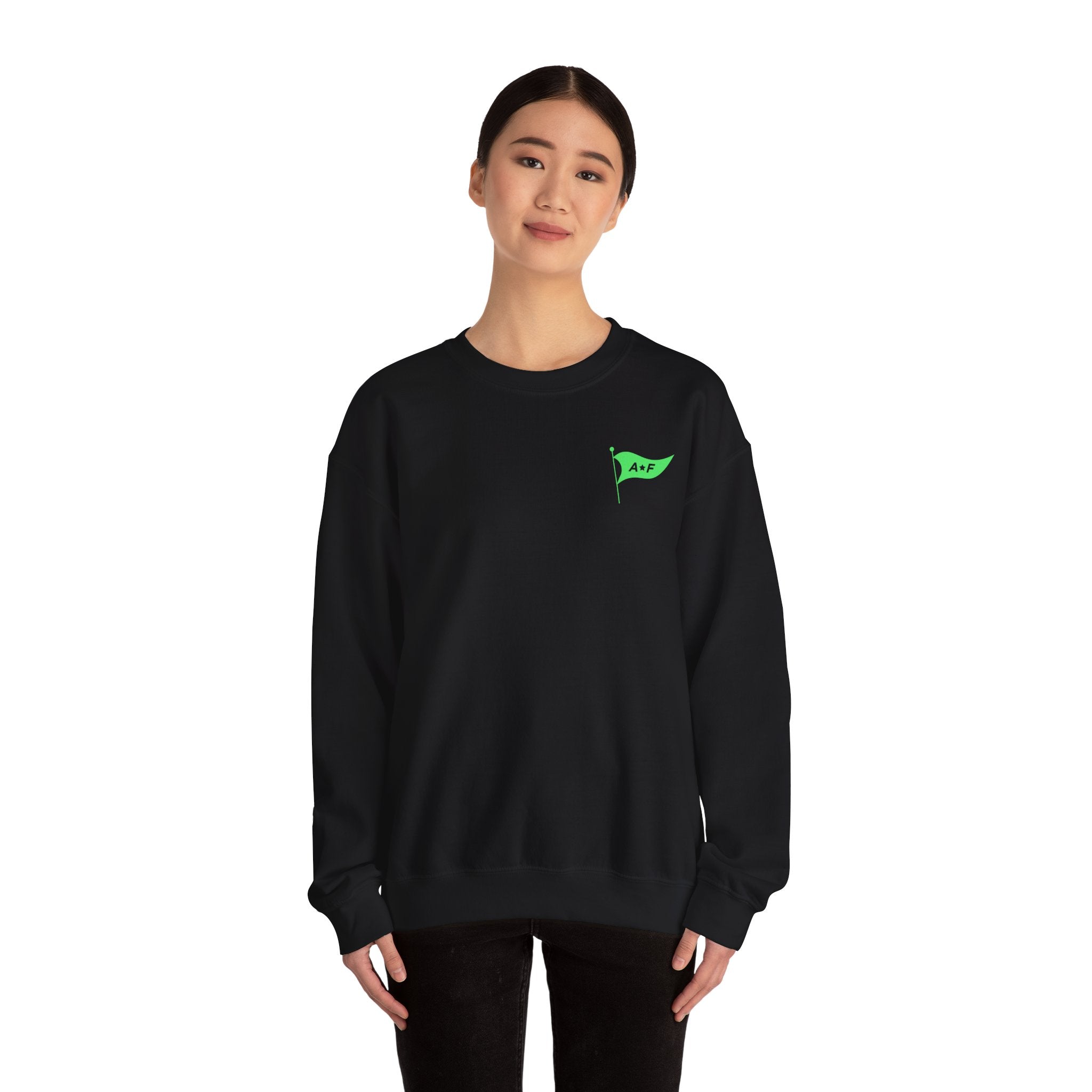 Park rides & good Vibes - Crewneck