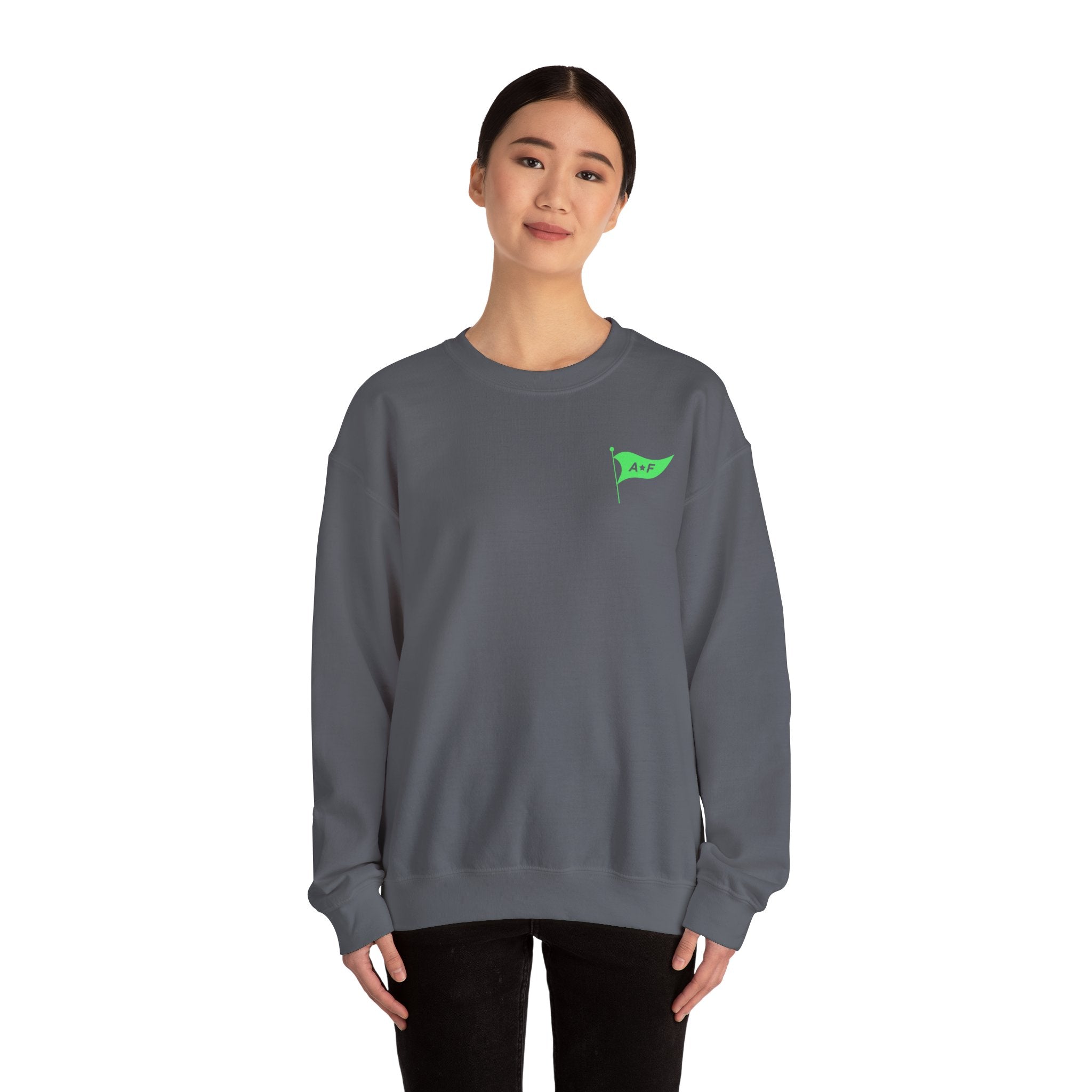 Park rides & good Vibes - Crewneck