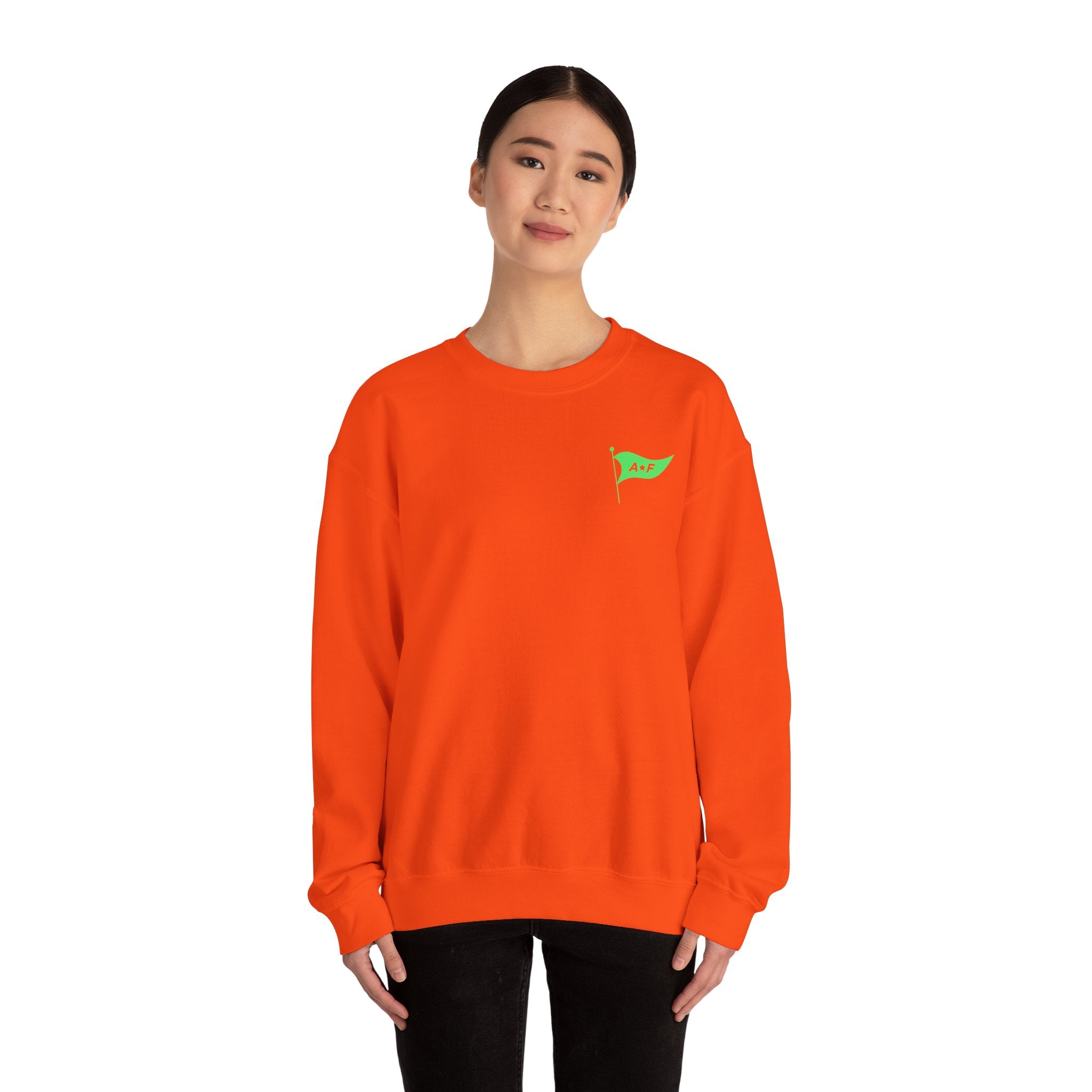 Park rides & good Vibes - Crewneck